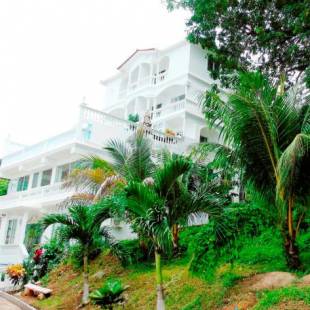 Фотографии гостиницы 
            Taboga Palace SPA Hotel