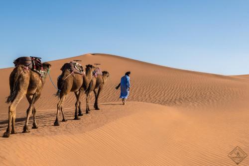 Фотография базы отдыха Desert Bivouac Mhamid