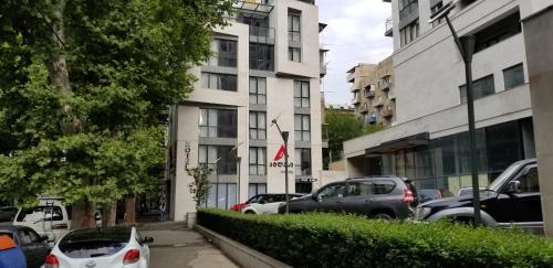 Фотографии гостиницы
Атлас Абашидзе