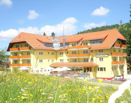 Фотография гостиницы Burg Hotel Feldberg