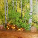 Фотография мини отеля Bed & Breakfast Nettuno