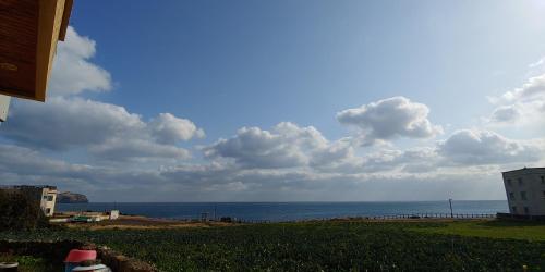 Фотография гостевого дома Seongsan Morning Sunset