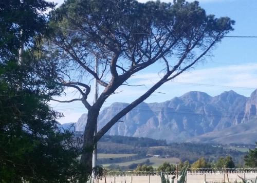 Фотография гостевого дома Weavers' Cottage