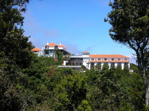 Фотография гостиницы Hotel La Palma Romántica
