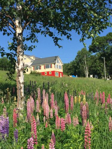 Фотография гостевого дома Pension Hoshi Ni Negaiwo