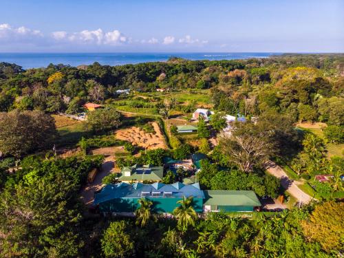 Фотографии гостиницы 
            Hotel Cabinas el Tecal