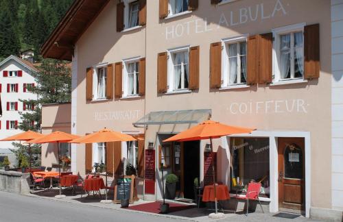 Фотография гостиницы Hotel Albula