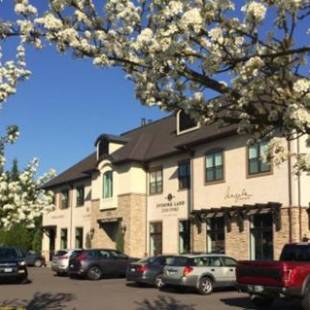 Фотографии гостиницы 
            The Dundee - A Trace Hotel