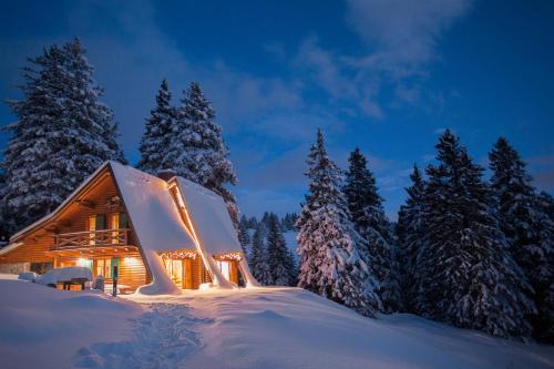 Фотография гостевого дома Chalet Alpinka