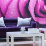 Фотография гостиницы Hotel Rio Arga