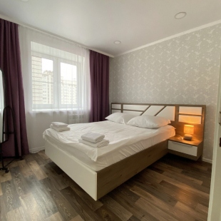 Фотография квартиры Апартаменты Две Подушки на Возрождения 86 A - 445