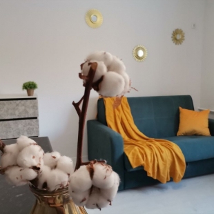 Фотография квартиры Апартаменты Северное Сияние Мелникайте 83к2 333