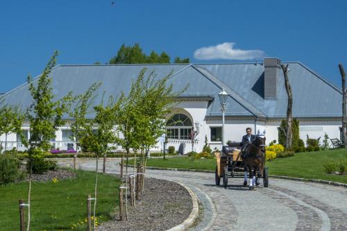 Фотография гостиницы Hotel Kiston