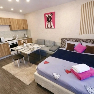 Фотография квартиры Квартира Студия рядом с аэропортом