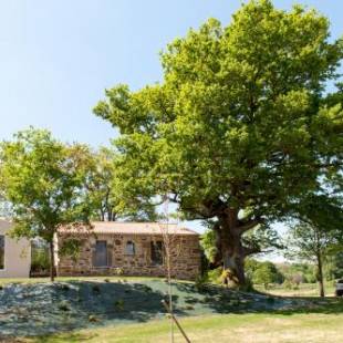Фотографии гостевого дома 
            Casa das Landras