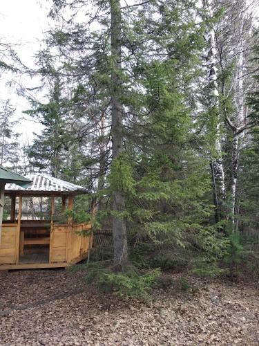 Фотография гостевого дома Ласточкино гнездо