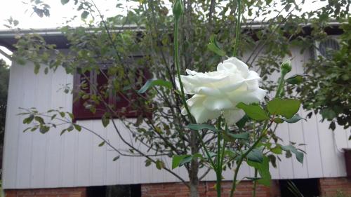 Фотография гостевого дома Casa do Joaquim