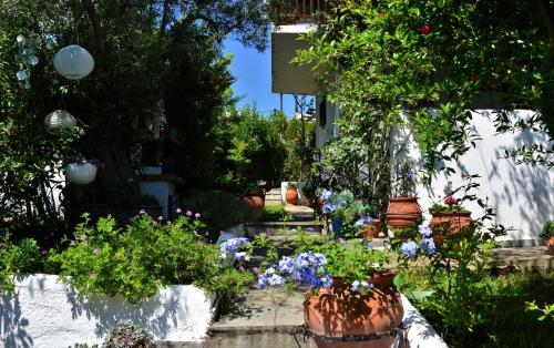 Фотография гостевого дома Sonia's House with Garden