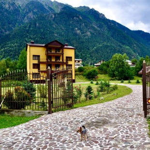 Фотография гостевого дома Гостевой дом Березка