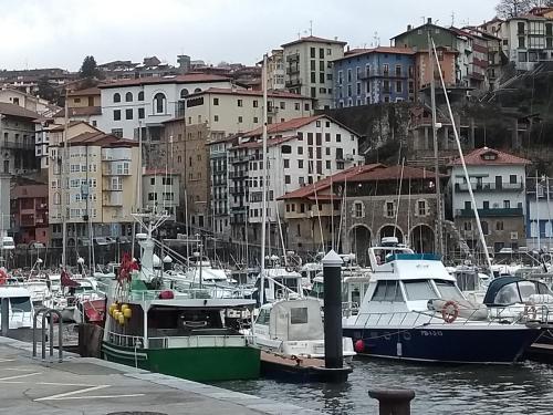 Фотография гостиницы Hotel Arbe