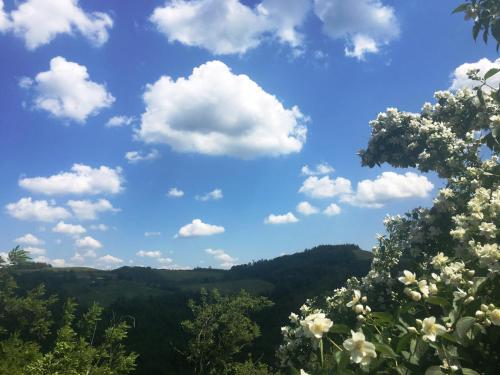 Фотография базы отдыха Pizzicalaluna