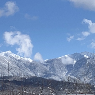 Фотография Коттеджа Частный дом Форелька