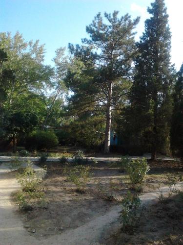 Фотография кемпинга Fairy Village