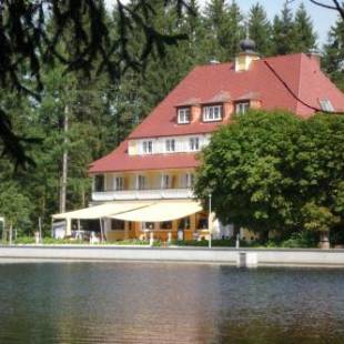 Фотографии гостиницы 
            Hotel Waldsee
