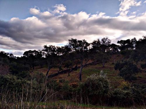 Фотография гостевого дома El rincón de Alájar