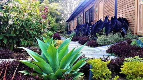 Фотография гостиницы Star Hostal - Club De Tenis