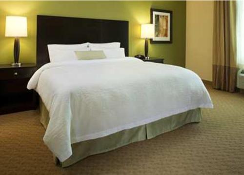 Фотография гостиницы Hampton Inn Augusta/Gordon Highway