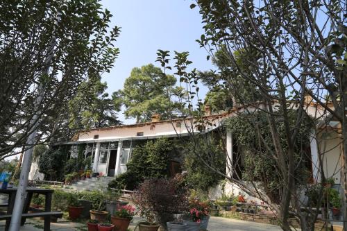 Фотографии гостевого дома
Deodar Homestay