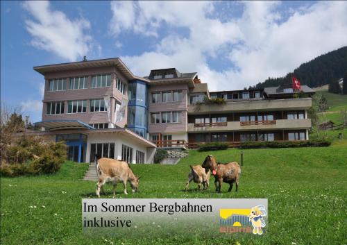 Фотография гостиницы Ferien- und Familienhotel Alpina Adelboden