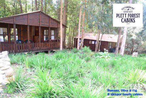Фотография мини отеля Plett Forest Cabins
