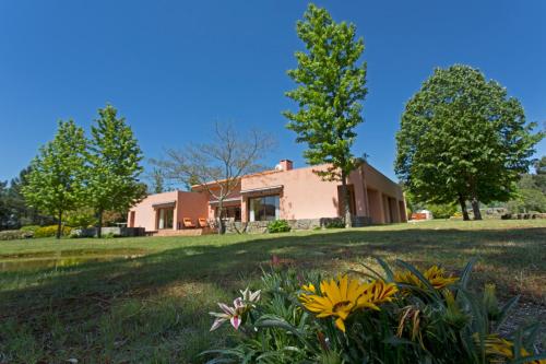 Фотография гостевого дома Raizes e Particulas