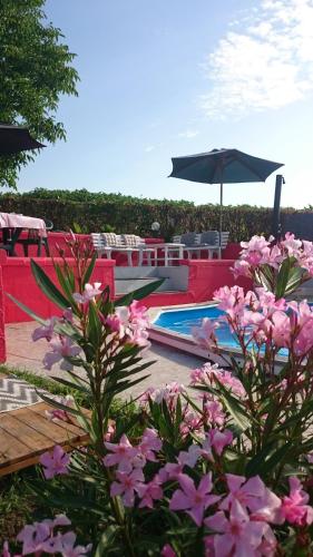 Фотография мини отеля Amour Aquitaine