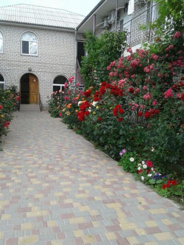 Фотография пансионата Людмила