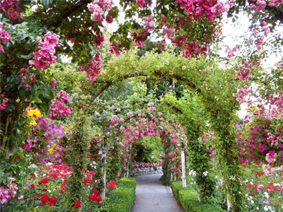 Фотографии достопримечательности 
            Ботанический сад