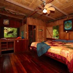 Фотографии мини отеля 
            Casa Rio Blanco Eco Friendly B&B