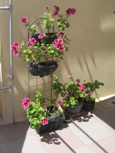 Фотографии гостевого дома
На Азовской