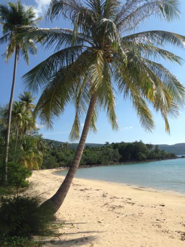 Фотография гостевого дома Lonely Beach