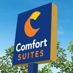 Фотографии гостиницы 
            Comfort Suites