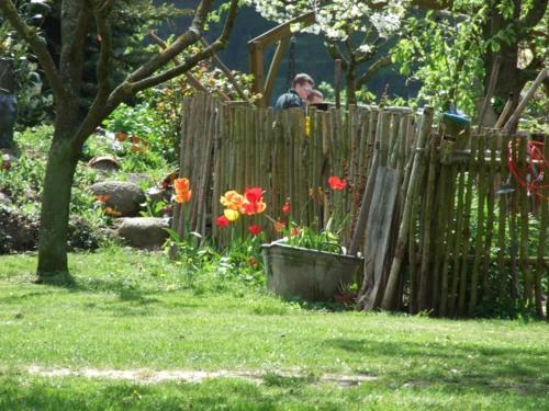 Фотография гостевого дома Landhof zur Meierei