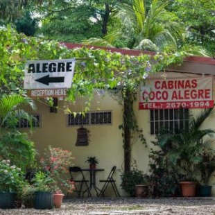 Фотография гостиницы Cabinas Coco Alegre