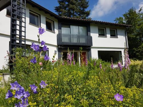 Фотография мини отеля Haus am Park Stadtallendorf