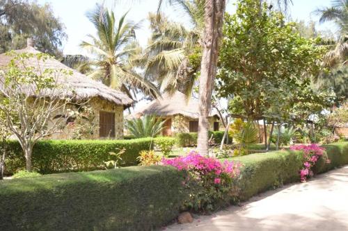 Фотография мини отеля Africa Roots