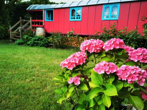 Фотография мини отеля La Maison des Oiseaux. Roulotte