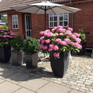 Фотографии мини отеля
Hannas B&B