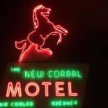 Фотография мотеля New Corral Motel