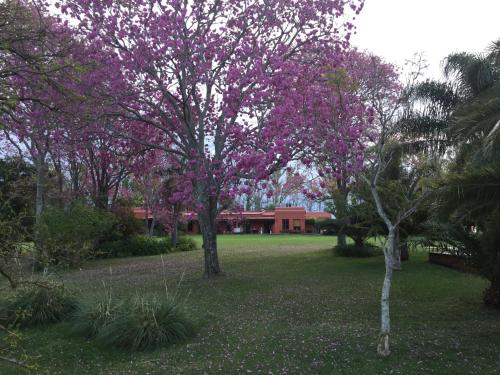 Фотография гостевого дома Estancia La violeta